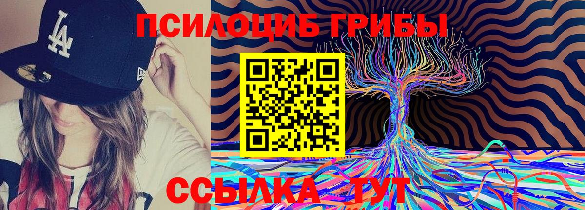 Галлюциногенные грибы Magic Shrooms Кызыл